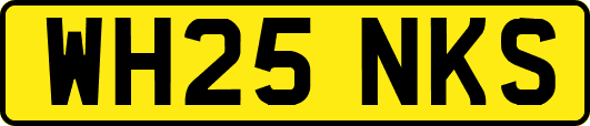 WH25NKS