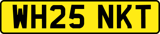 WH25NKT