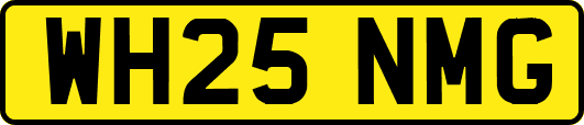 WH25NMG