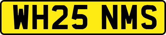 WH25NMS