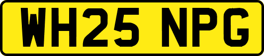 WH25NPG