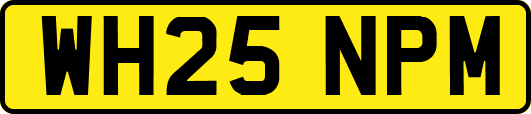 WH25NPM