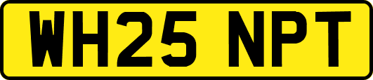 WH25NPT