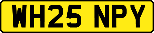 WH25NPY
