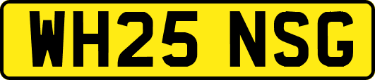 WH25NSG