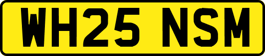 WH25NSM