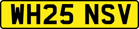 WH25NSV