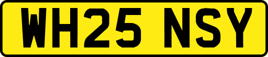 WH25NSY