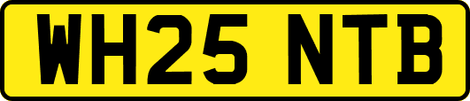 WH25NTB