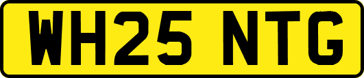 WH25NTG
