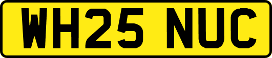 WH25NUC