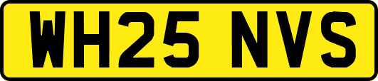 WH25NVS