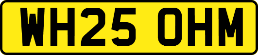 WH25OHM