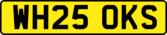 WH25OKS