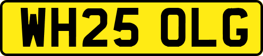 WH25OLG