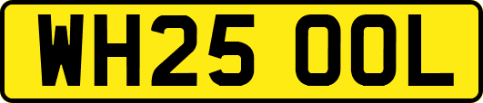 WH25OOL