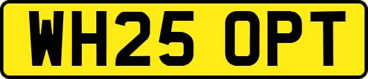 WH25OPT