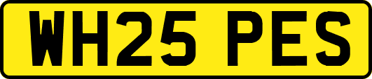 WH25PES