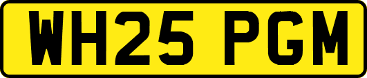 WH25PGM