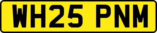 WH25PNM