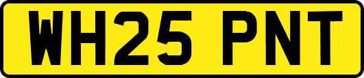 WH25PNT