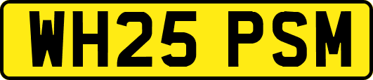 WH25PSM