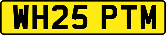 WH25PTM