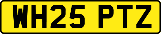 WH25PTZ