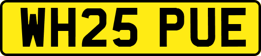 WH25PUE