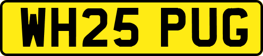 WH25PUG