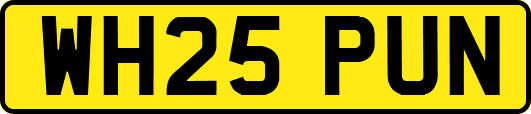 WH25PUN