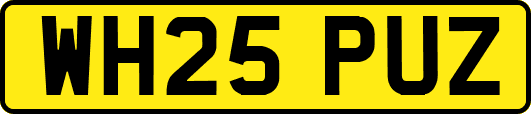 WH25PUZ