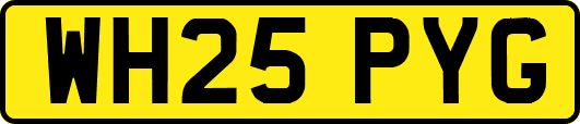 WH25PYG