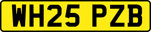 WH25PZB