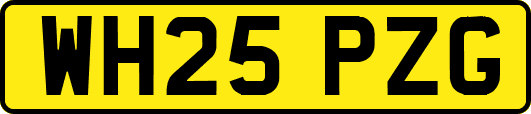 WH25PZG