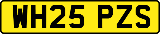 WH25PZS