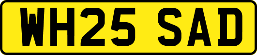 WH25SAD