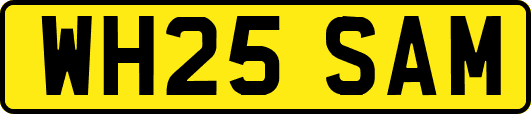 WH25SAM