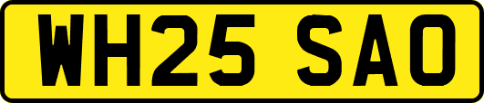 WH25SAO