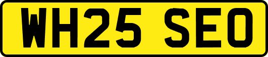 WH25SEO