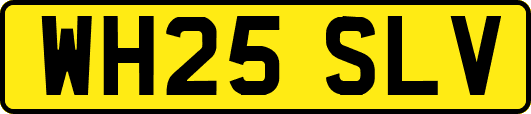 WH25SLV