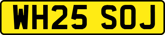 WH25SOJ