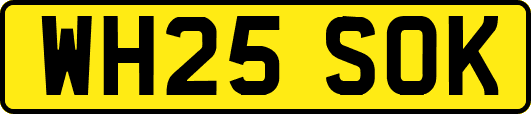 WH25SOK