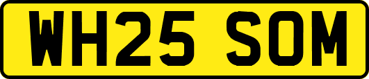 WH25SOM