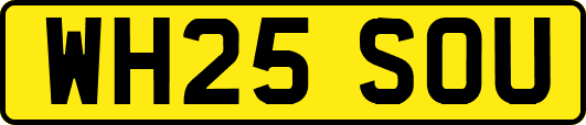 WH25SOU