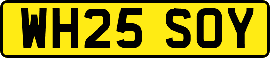 WH25SOY