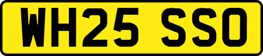 WH25SSO