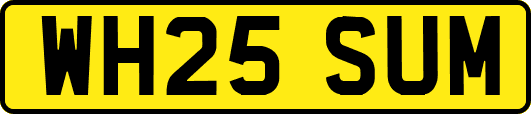 WH25SUM