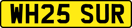 WH25SUR