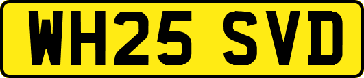 WH25SVD